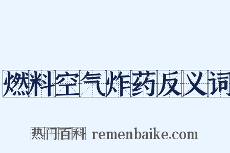 燃料空气炸药反义词是什么意思的图片
